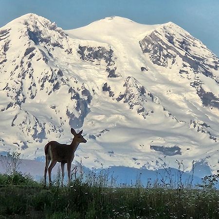 Stunning Mt Rainier Views!Tahoma Ridge Cottage Eatonville Ngoại thất bức ảnh