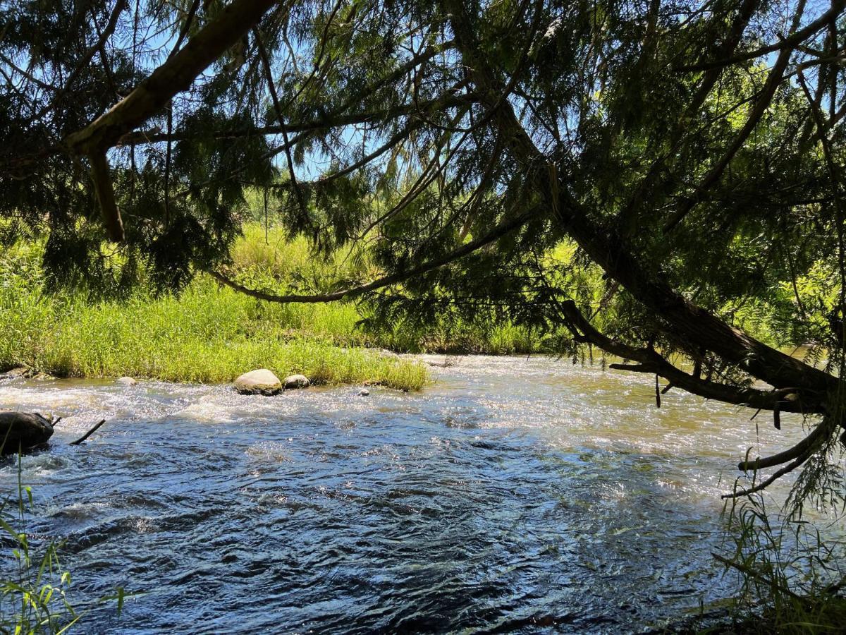 Stunning Mt Rainier Views!Tahoma Ridge Cottage Eatonville Ngoại thất bức ảnh