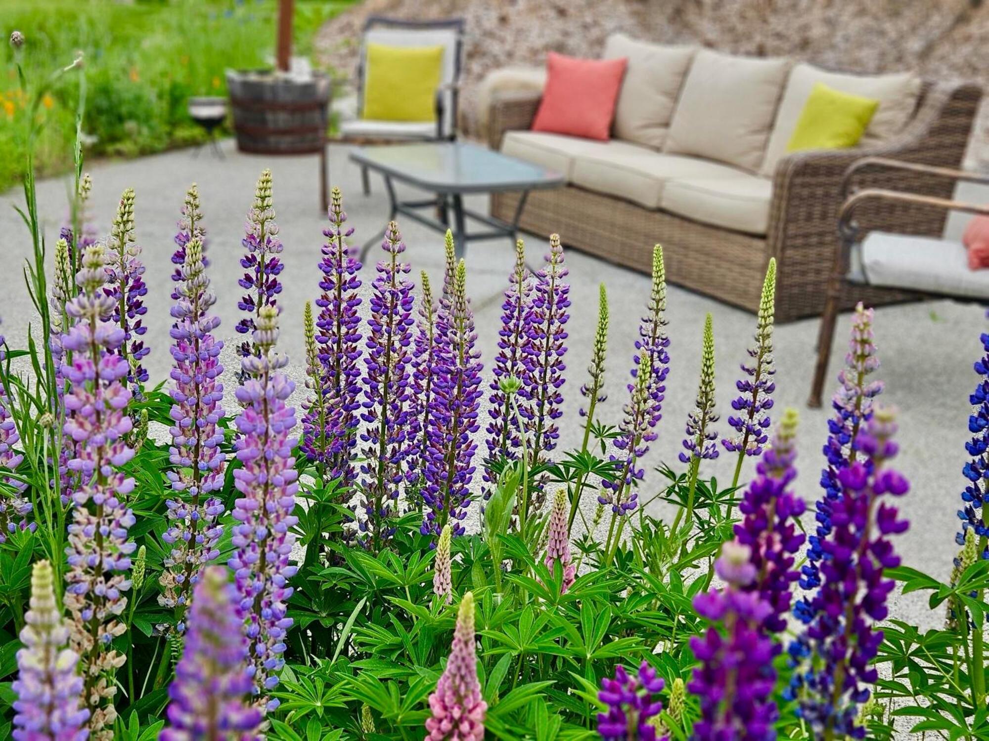 Stunning Mt Rainier Views!Tahoma Ridge Cottage Eatonville Ngoại thất bức ảnh
