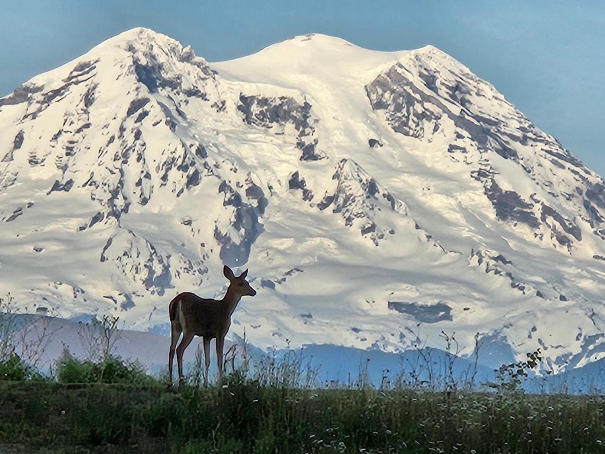Stunning Mt Rainier Views!Tahoma Ridge Cottage Eatonville Ngoại thất bức ảnh