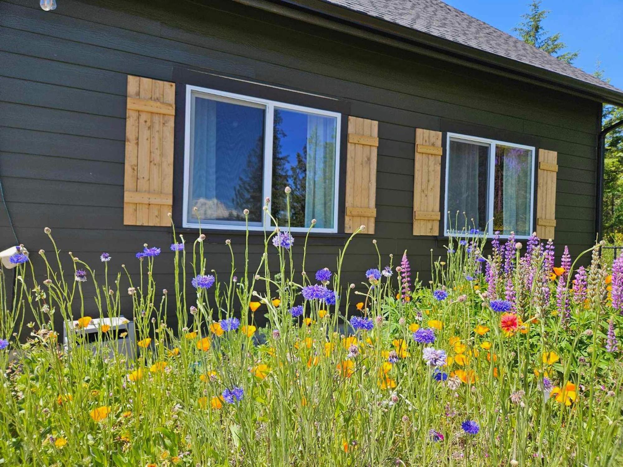 Stunning Mt Rainier Views!Tahoma Ridge Cottage Eatonville Ngoại thất bức ảnh