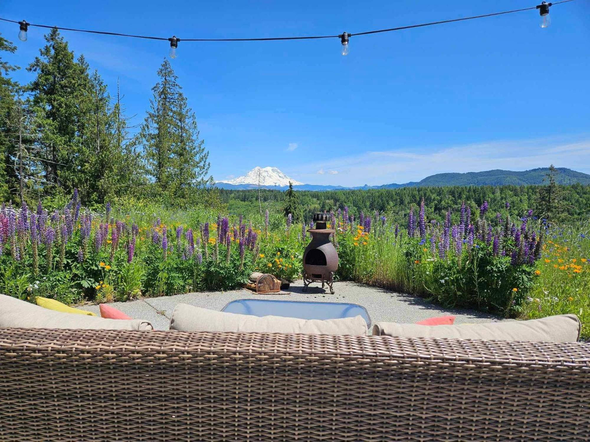 Stunning Mt Rainier Views!Tahoma Ridge Cottage Eatonville Ngoại thất bức ảnh