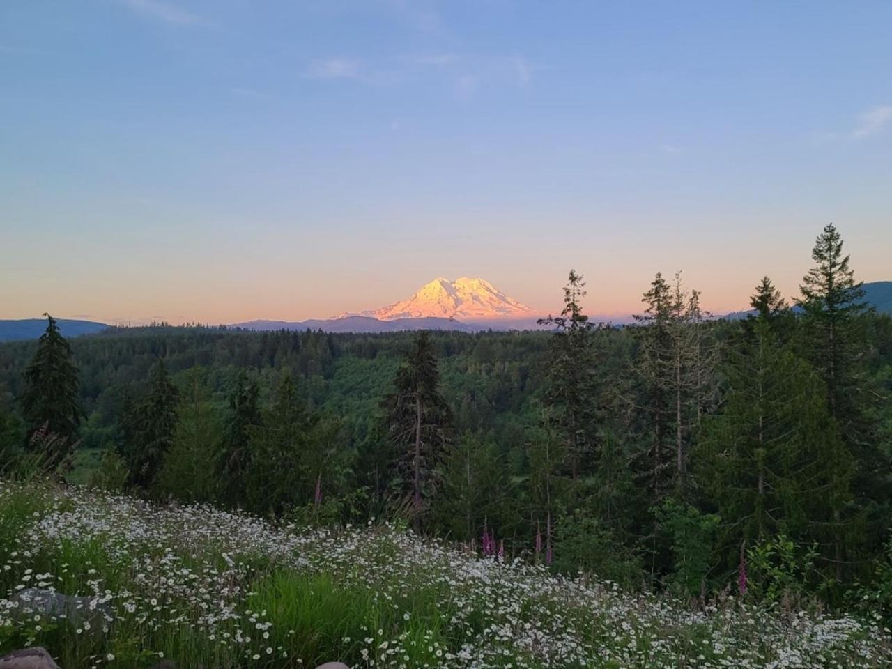 Stunning Mt Rainier Views!Tahoma Ridge Cottage Eatonville Ngoại thất bức ảnh
