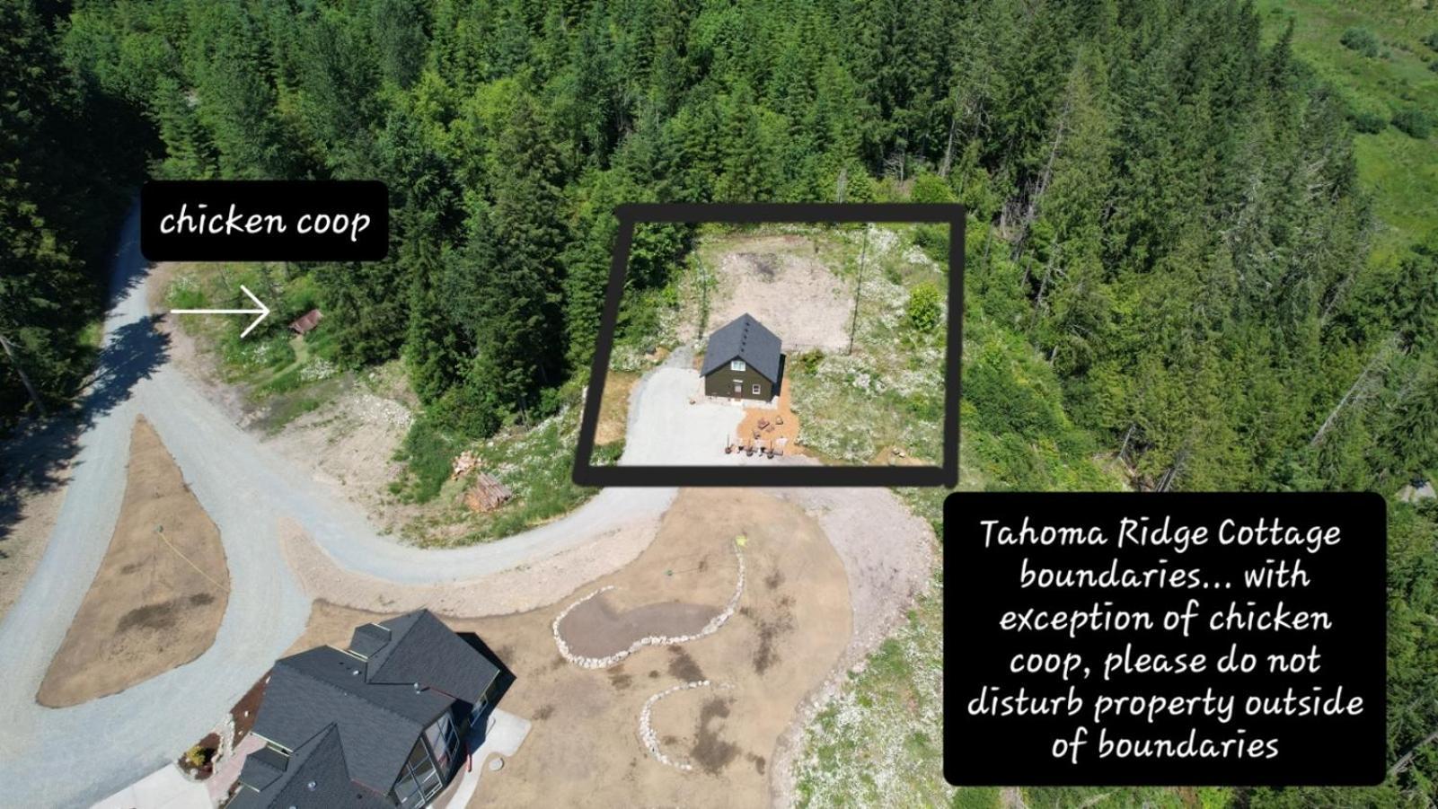 Stunning Mt Rainier Views!Tahoma Ridge Cottage Eatonville Ngoại thất bức ảnh