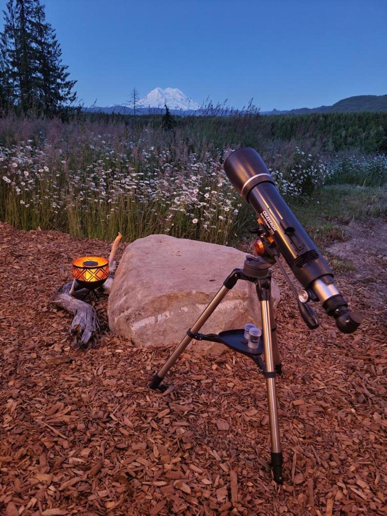 Stunning Mt Rainier Views!Tahoma Ridge Cottage Eatonville Ngoại thất bức ảnh