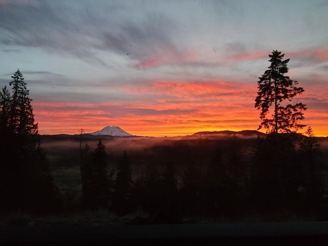 Stunning Mt Rainier Views!Tahoma Ridge Cottage Eatonville Ngoại thất bức ảnh