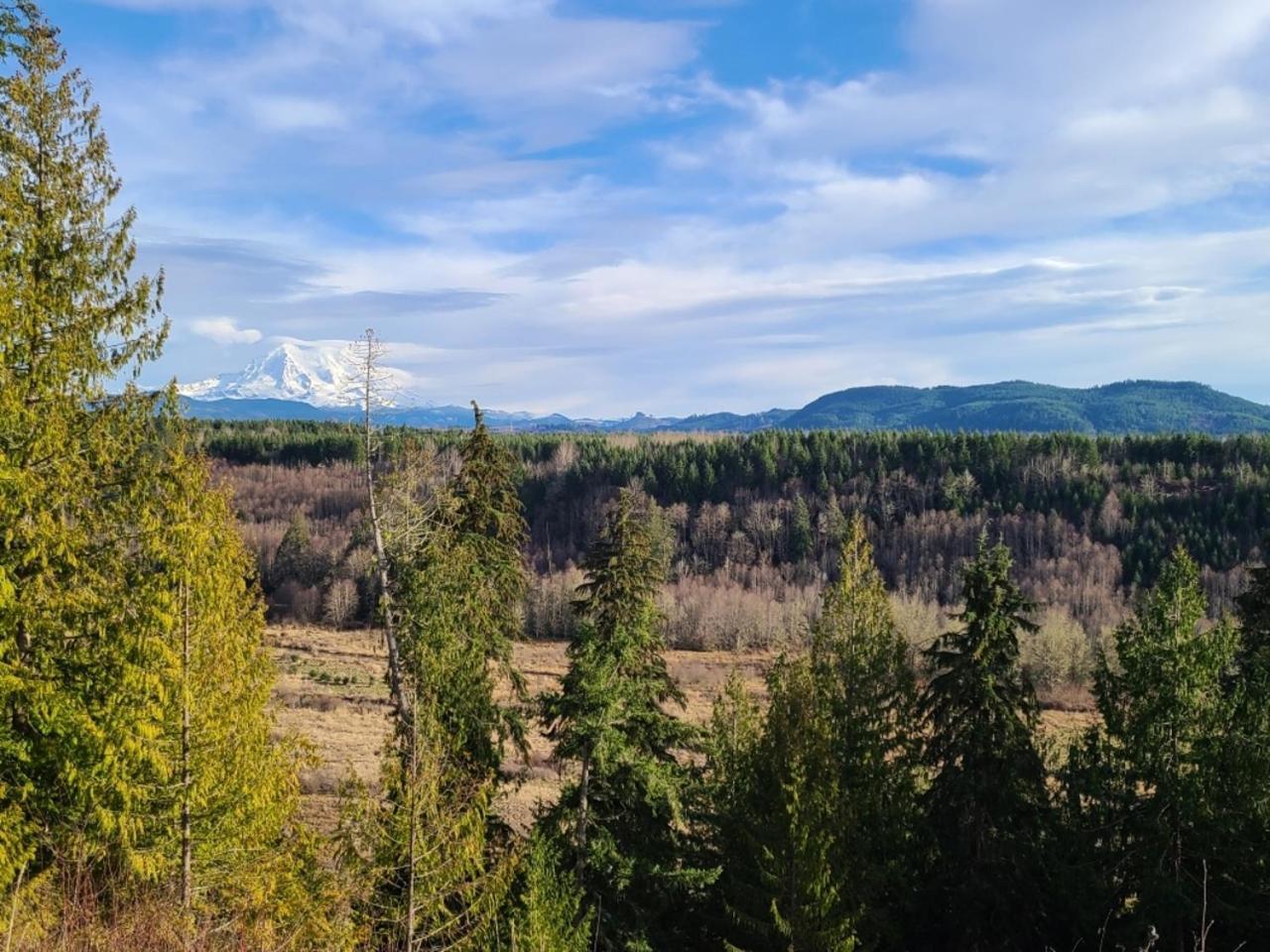 Stunning Mt Rainier Views!Tahoma Ridge Cottage Eatonville Ngoại thất bức ảnh