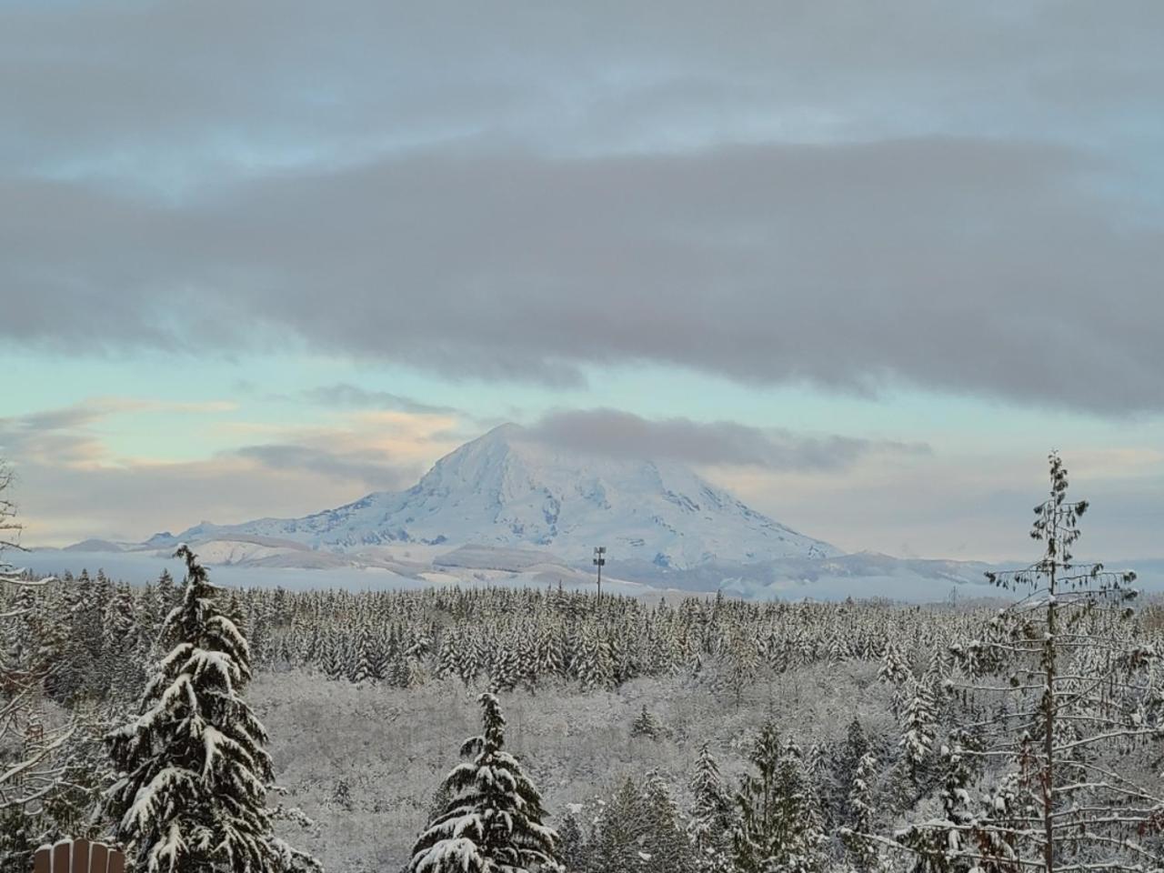 Stunning Mt Rainier Views!Tahoma Ridge Cottage Eatonville Ngoại thất bức ảnh
